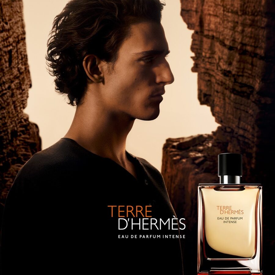 Купить оригинал HERMES TERRE D'HERMES PARFUM в Parfumer.kg | Элитная парфюмерия на распив в Бишкеке. Большой выбор и лучшие цены!