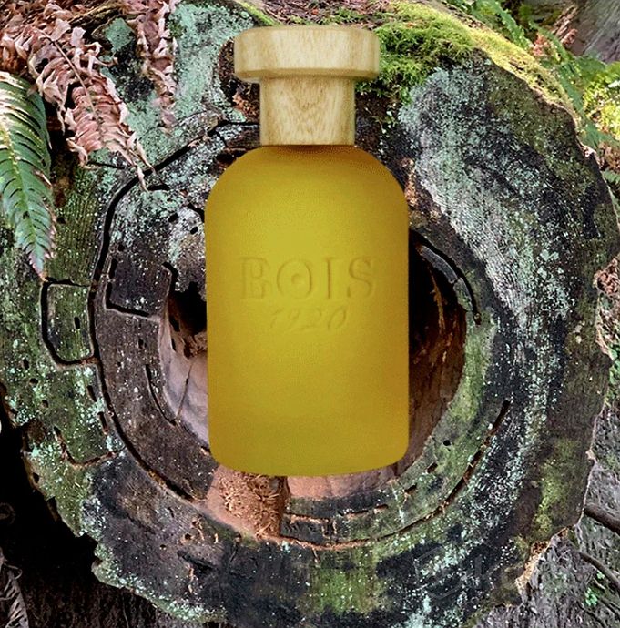 Парфюм BOIS 1920 CANNABIS FRUTTATA EAU DE PARFUM купить в Бишкеке и Кыргызстане | Фужерный аромат для мужчин и женщин | Оригинальная парфюмерия в parfumer.kg | Элитная парфюмерия на распив.