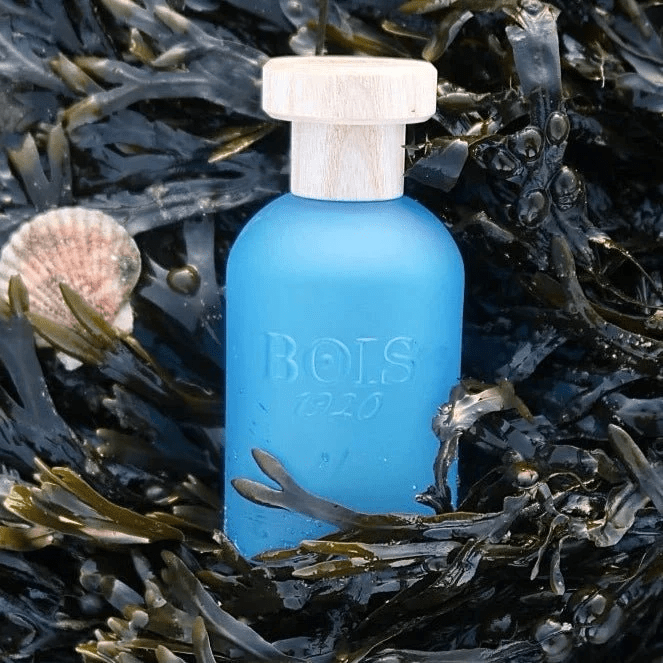 Парфюм BOIS 1920 CANNABIS SALATA EAU DE PARFUM купить в Бишкеке и Кыргызстане | Древесно-зеленый, пряный аромат для мужчин и женщин | Оригинальная парфюмерия в parfumer.kg | Элитная парфюмерия на распив.