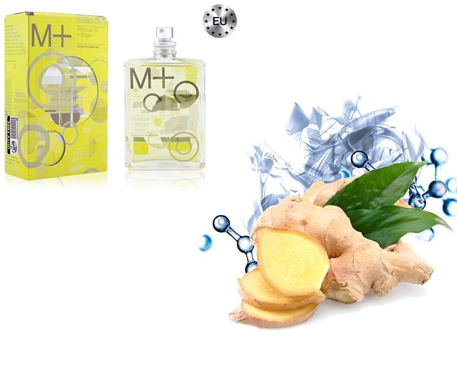 ESCENTRIC MOLECULES MOLECULE 01 + GINGER в Бишкеке. | Интернет магазин Parfumer.kg. | Элитная парфюмерия на распив.