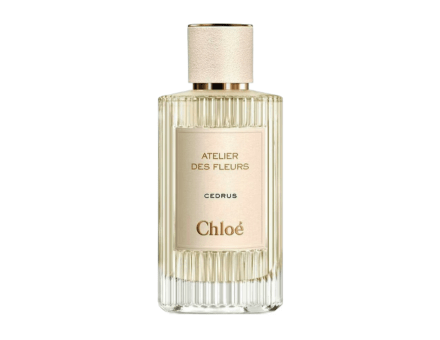 CHLOE ATELIER DES FLEURS CEDRUS MINI